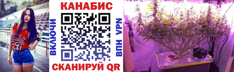 МЕФ Сусуман