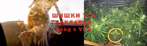 дурь Алзамай