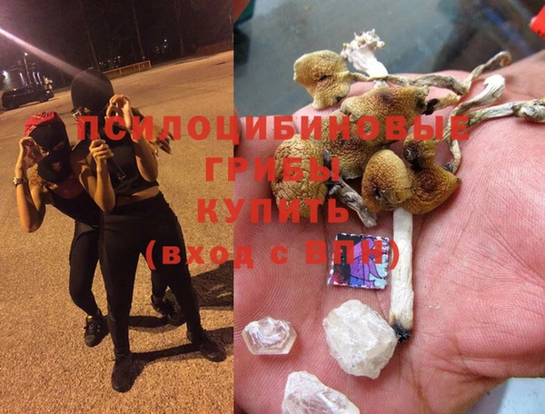 трава Абдулино